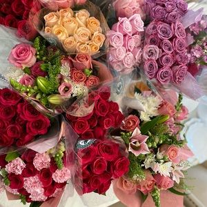 Meet your Posher, Evelyn